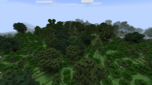 Overview of forest