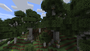 Custom override in birch forest