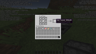 Salt Packet Recipe
