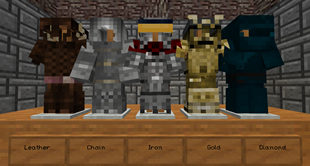 Armour