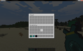 Ender Bag