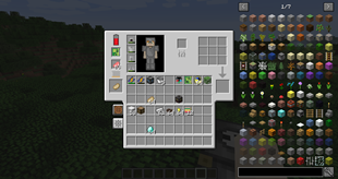 The Rarmor Inventory