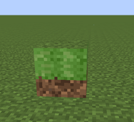 Grass