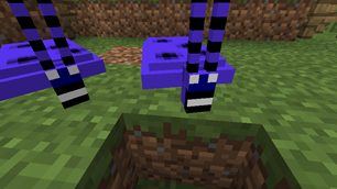 The rare Slime Beetle
