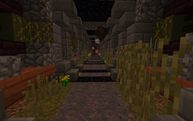 Nether