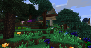 Magic Biome