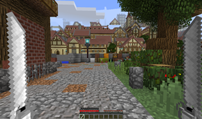First Person View