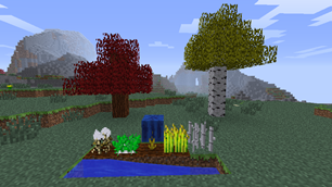 Plants