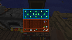 Chest