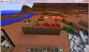 Flesh crops