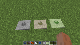 Hemp Plates