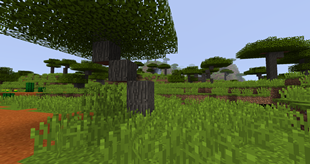 Assassin's Better MC: Savanna Life - Screenshots - Minecraft Worlds ...