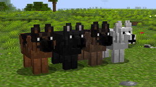 Images - Better dogs - Resource Packs - Minecraft - CurseForge