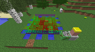 PotatoeFarm