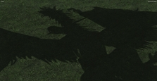 the dragon&#x27;s shadow