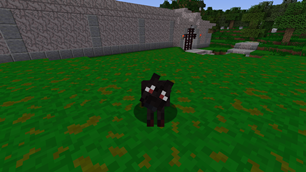 Tamed Wolf