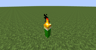 Torcher