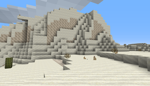 Life in a Desert