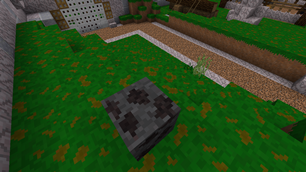 Coal Ore