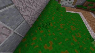 'Tall' Grass