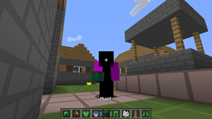 1.8 The old money amour