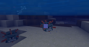 Ocean