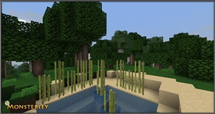 reeds
