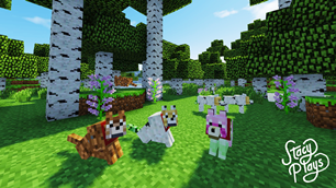 Dirt, Birch & Flower Dogs