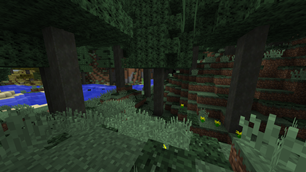 Sugi Forest