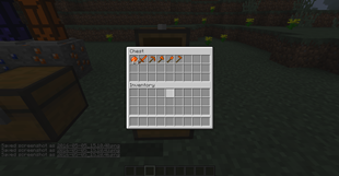 Amber Items