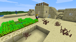 1.9.3 Desert Village