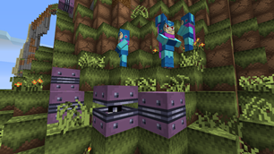 1.9.3 Witches and Shulkers