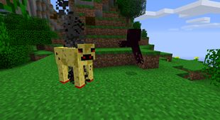 Mobs (As of CMod 0.4)