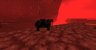 wither_tortoise