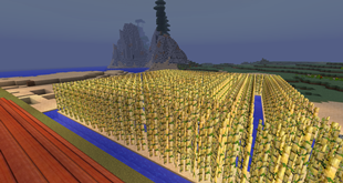 Automatic Sugar Cane Farm