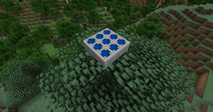 Basic Panel