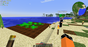 Strawberry Farm