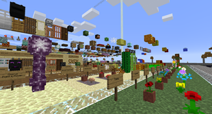 Block display Environment
