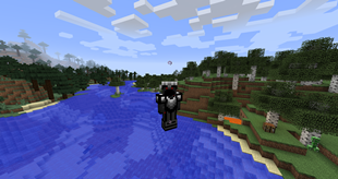 Full Wither Armor