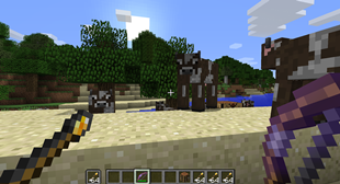 Torch Arrows in Offhand Slot