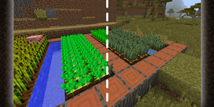 Crops