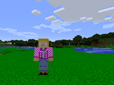 One of the Npcs added by this mod