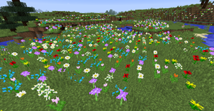 Some flowers