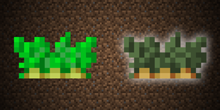 Potatoes