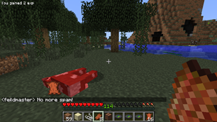 ScreenShot Example