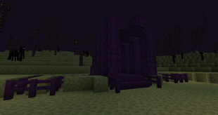 The Entrance To An Enderling Stronghold