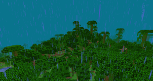 A rainy jungle world