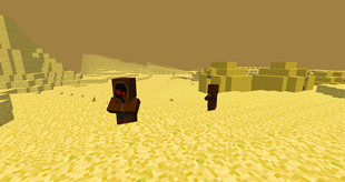 Small villages that spawn in the desert