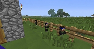 Ninja Villagers