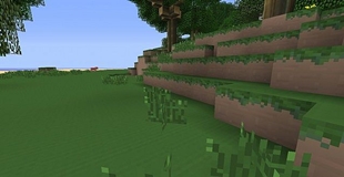 Dirt, grass and oak's wood textures
